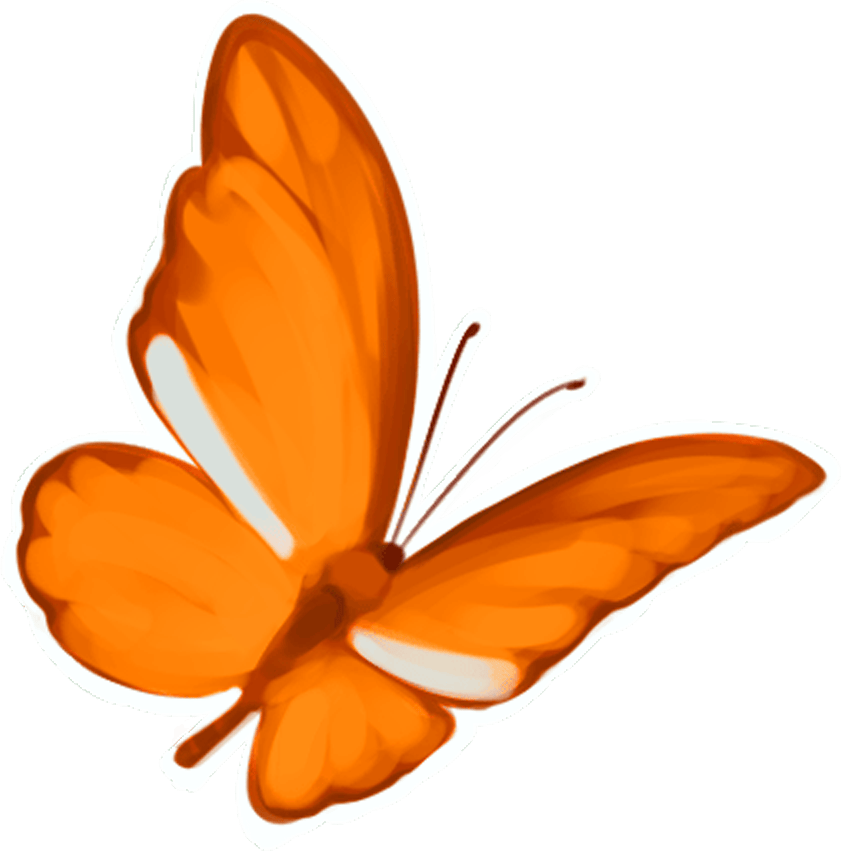Decorative Orange Butterfly